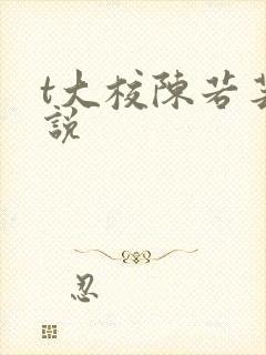 t大校陈若芸小说封面