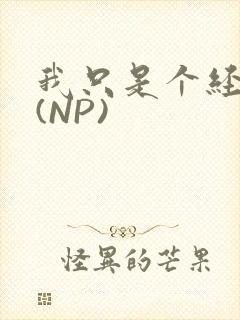 我只是个经纪人(NP)
