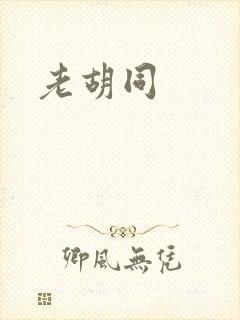 老胡同