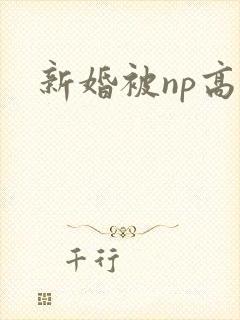 新婚被np高h封面