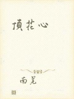 顶花心封面