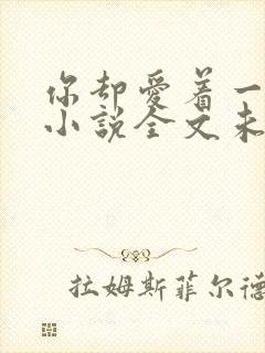 你却爱着一个他小说全文未删减免费
