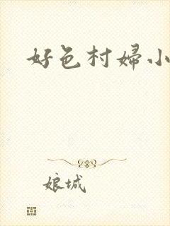 好色村妇小银贼封面