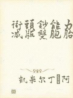 街头钞能力无删减版双胞胎
