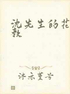 沈先生的花式管教