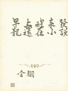 早上醒来发现巨龙还在小说