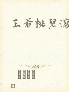 王爷桃儿泻了封面