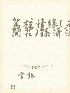 驾校情缘(老树开花)孙潇潇笔趣阁