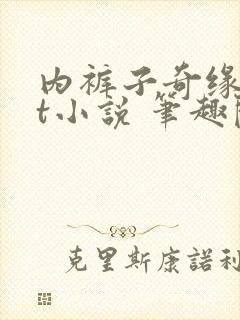 内裤子奇缘txt小说 笔趣阁封面