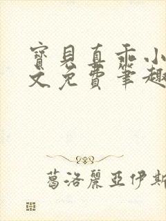 宝贝真乖小说全文免费笔趣阁
