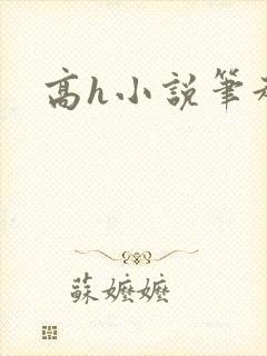 高h小说笔趣阁