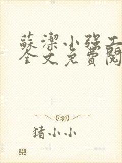 苏洁小强工地情全文免费阅读