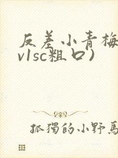 反差小青梅(1v1sc粗口)