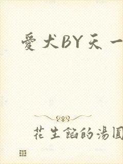 爱犬BY天一