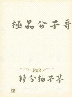 极品公子哥