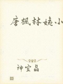 唐枫林姨小说
