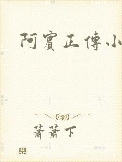 阿宾正传小说