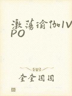 激荡瑜伽1V2PO