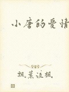 小唐的爱情史