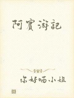 阿宾游记封面