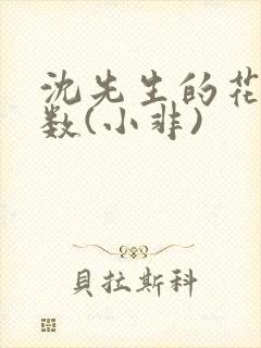 沈先生的花式调数(小非)