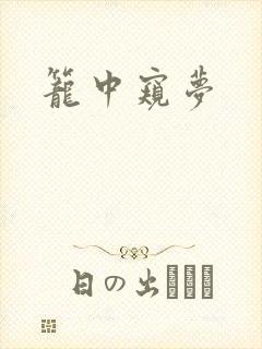 笼中窥梦