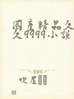 国产精品久久久久9999小说