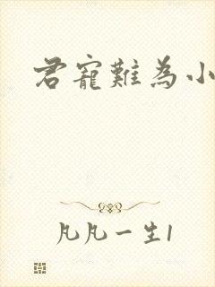 君宠难为小说封面