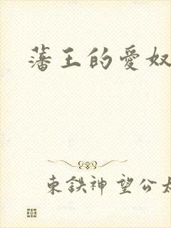 藩王的爱奴