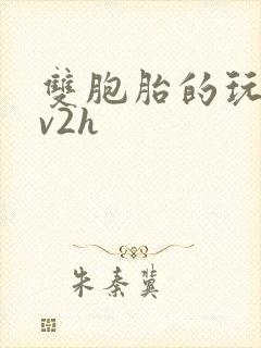 双胞胎的玩具1v2h