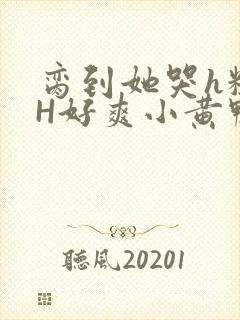 脔到她哭h粗话H好爽小黄鸭视频