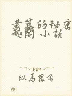 黄蓉的秘密 笔趣阁 小说封面