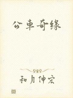 公车奇缘