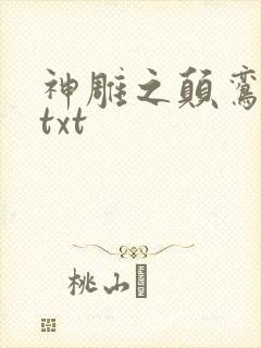 神雕之颠鸾倒凤txt