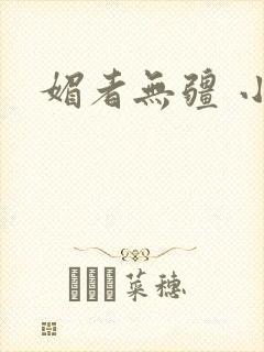 媚者无疆 小说