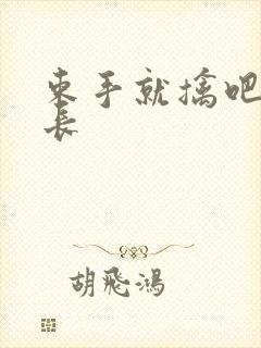 束手就擒吧韩队长