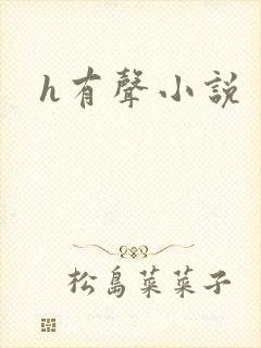 h有声小说封面