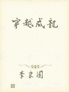 穿越成龙