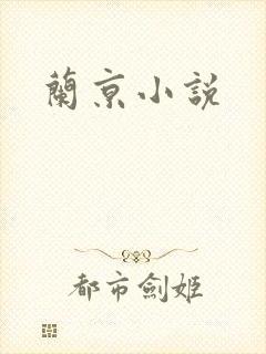 兰京小说