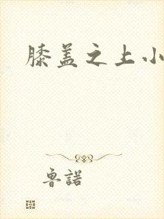 膝盖之上小说