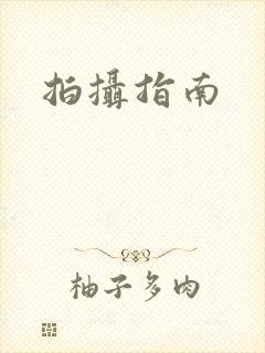 拍摄指南