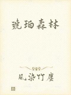 琥珀森林封面