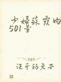 少妇苏霞肉欲第501章