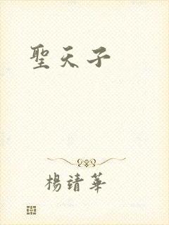 圣天子封面