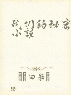 我们的秘密泰剧小说