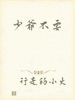 少爷不要