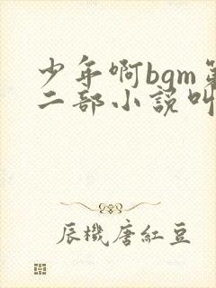 少年啊bgm第二部小说叫什么