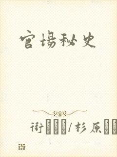 官场秘史