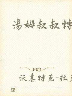 汤姆叔叔转接口