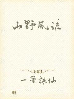 山野风流封面